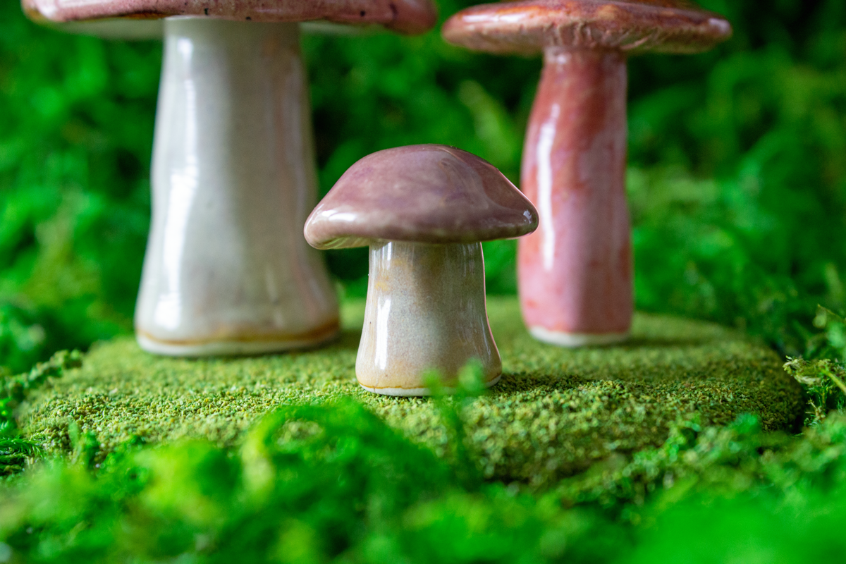 Handmade Stoneware Mushroom Set 1
