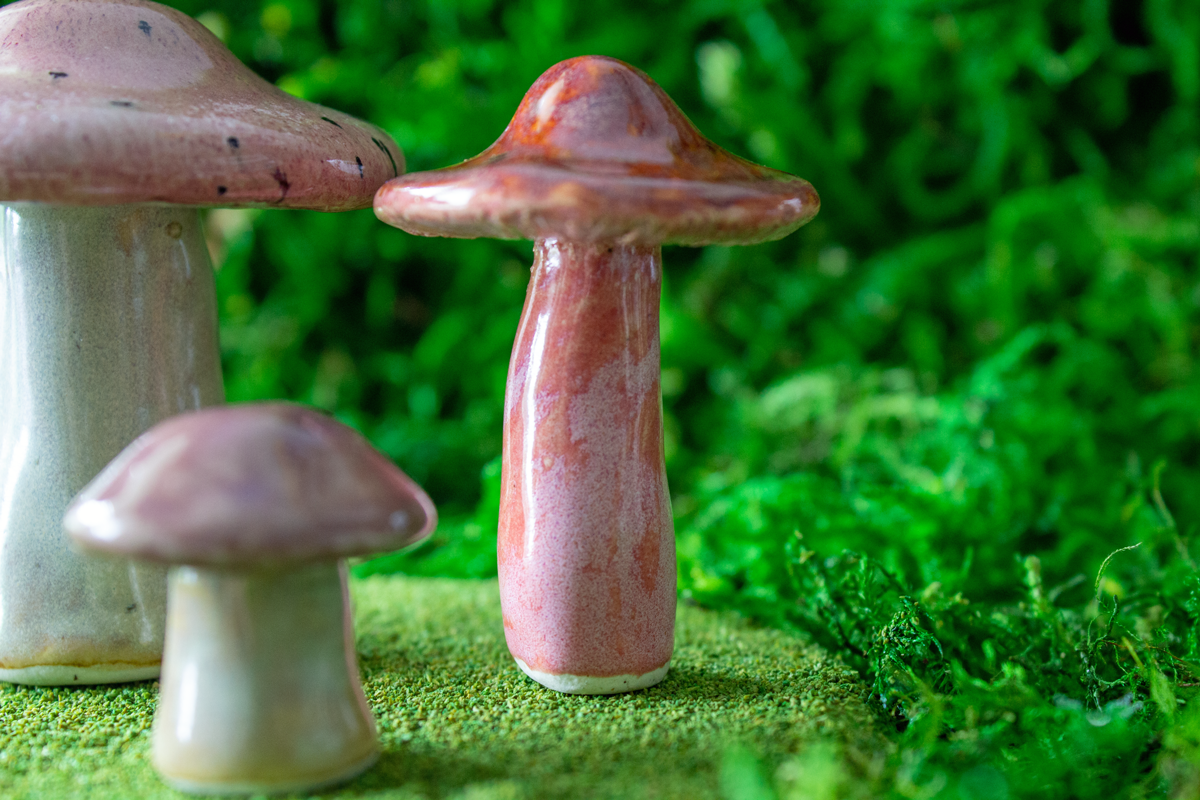 Handmade Stoneware Mushroom Set 1