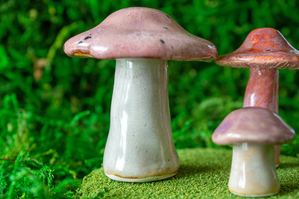 Handmade Stoneware Mushroom Set 1