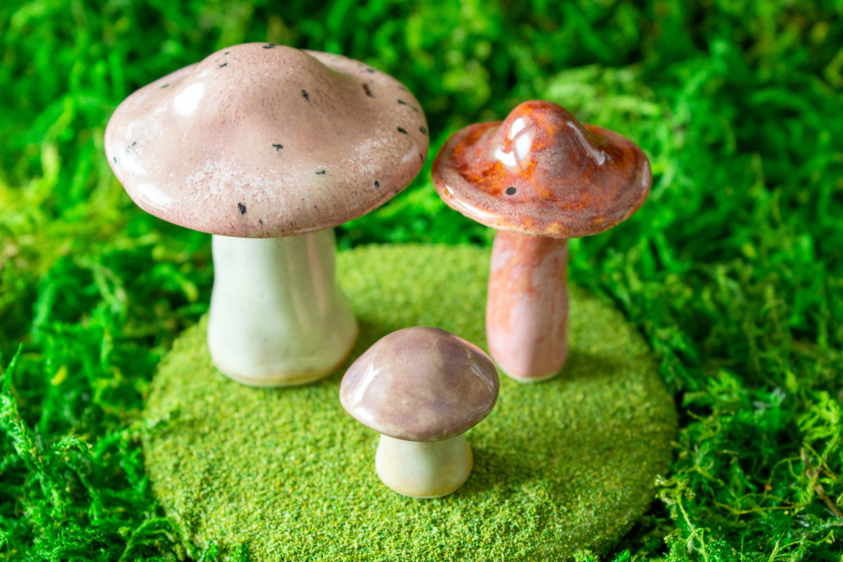 Handmade Stoneware Mushroom Set 1