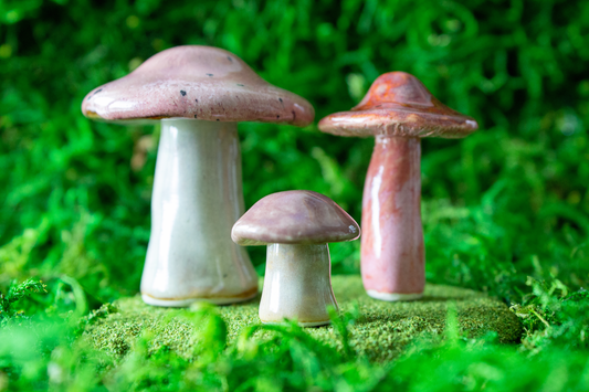 Handmade Stoneware Mushroom Set 1