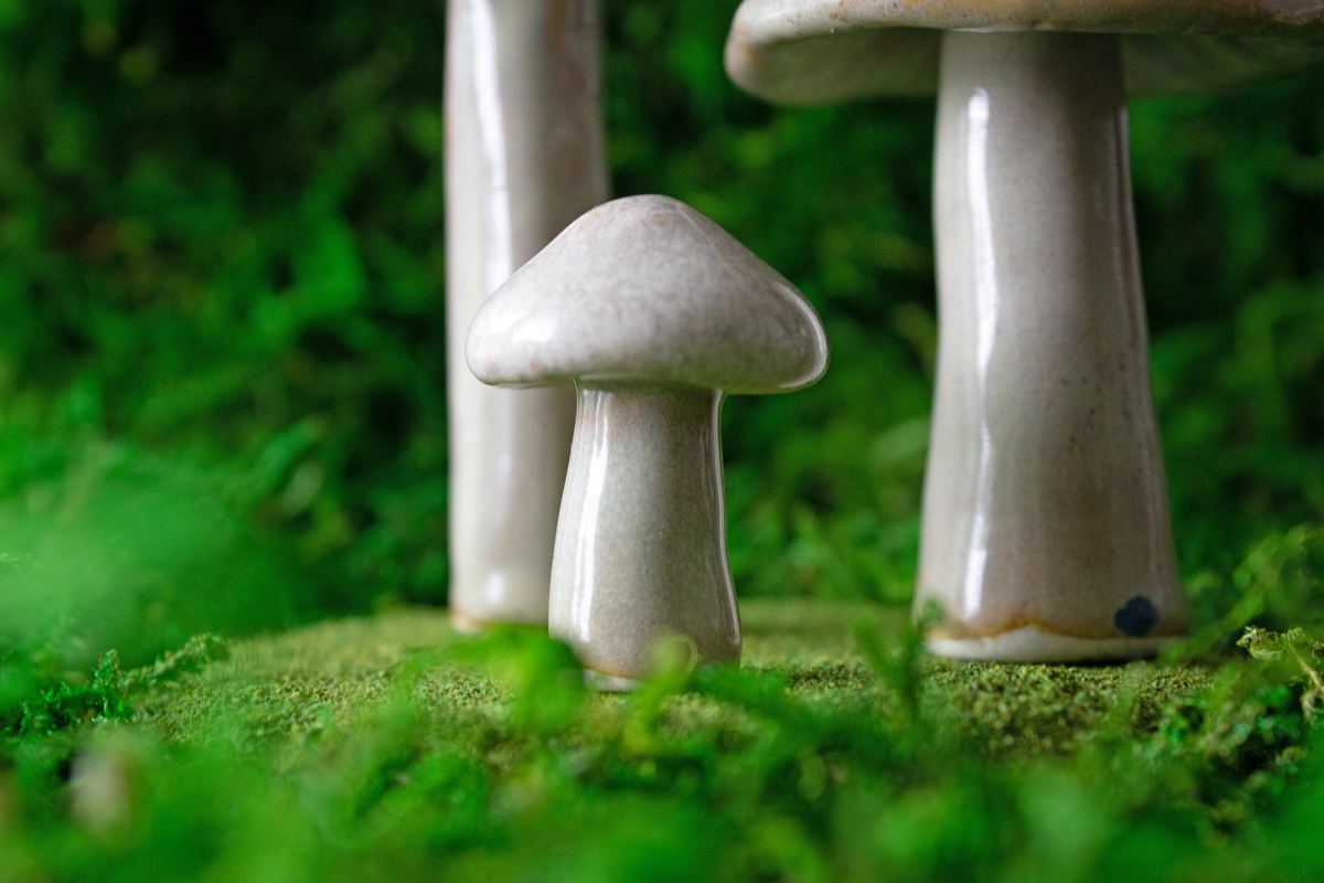 Handmade Stoneware Mushroom Set 2