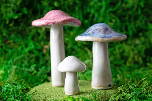 Handmade Stoneware Mushroom Set 2