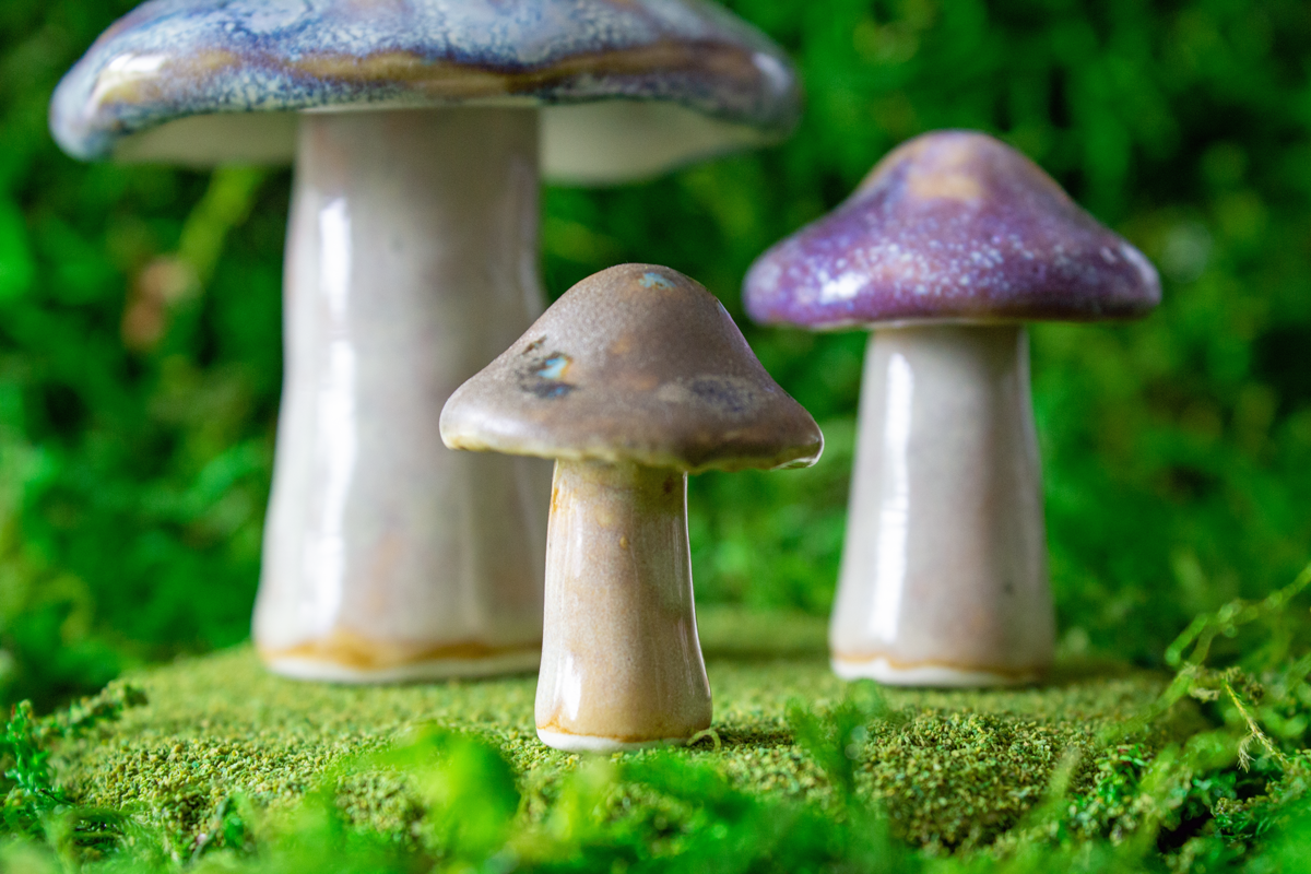 Handmade Stoneware Mushroom Set 3