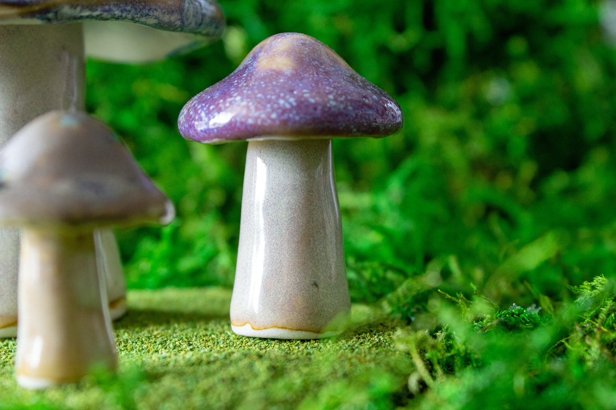 Handmade Stoneware Mushroom Set 3