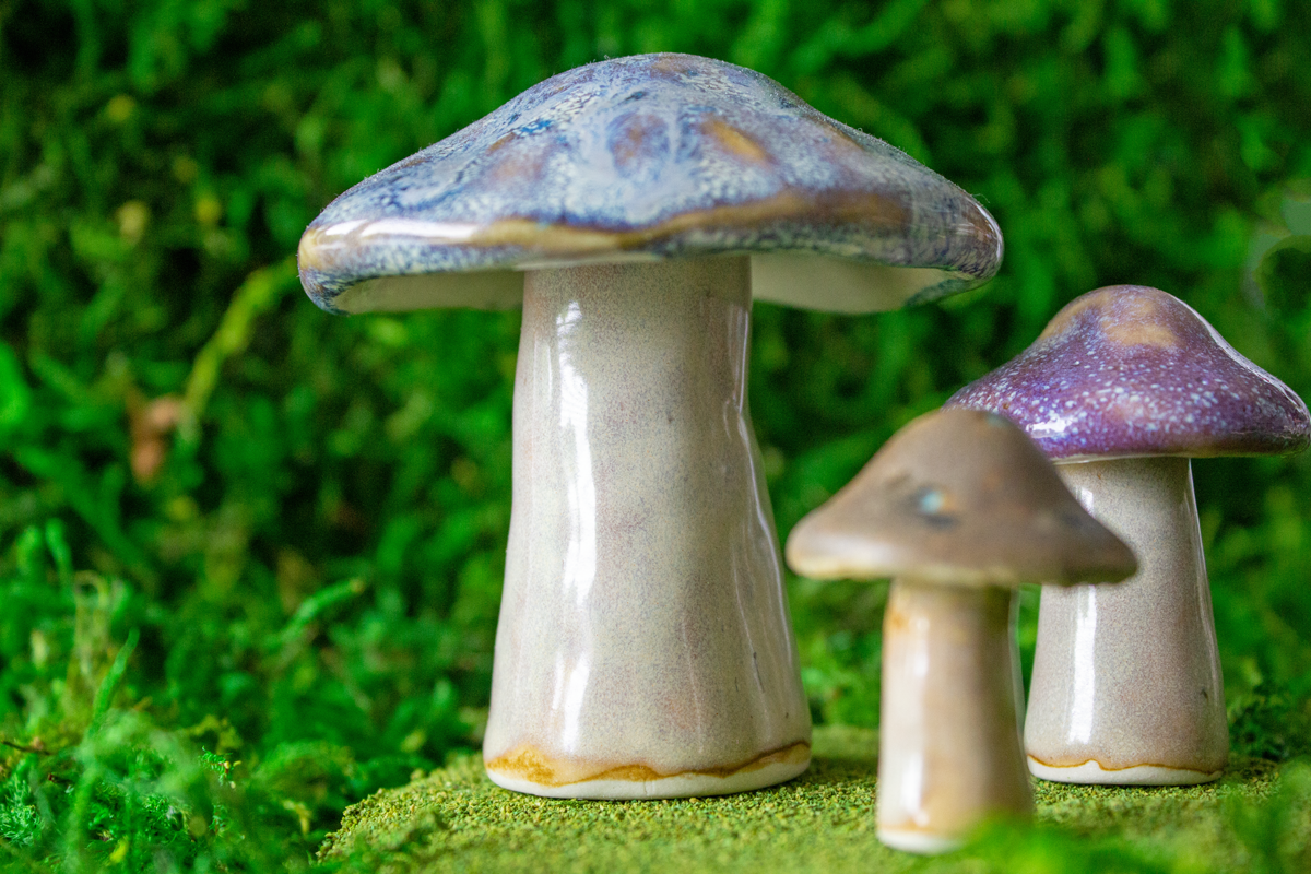 Handmade Stoneware Mushroom Set 3