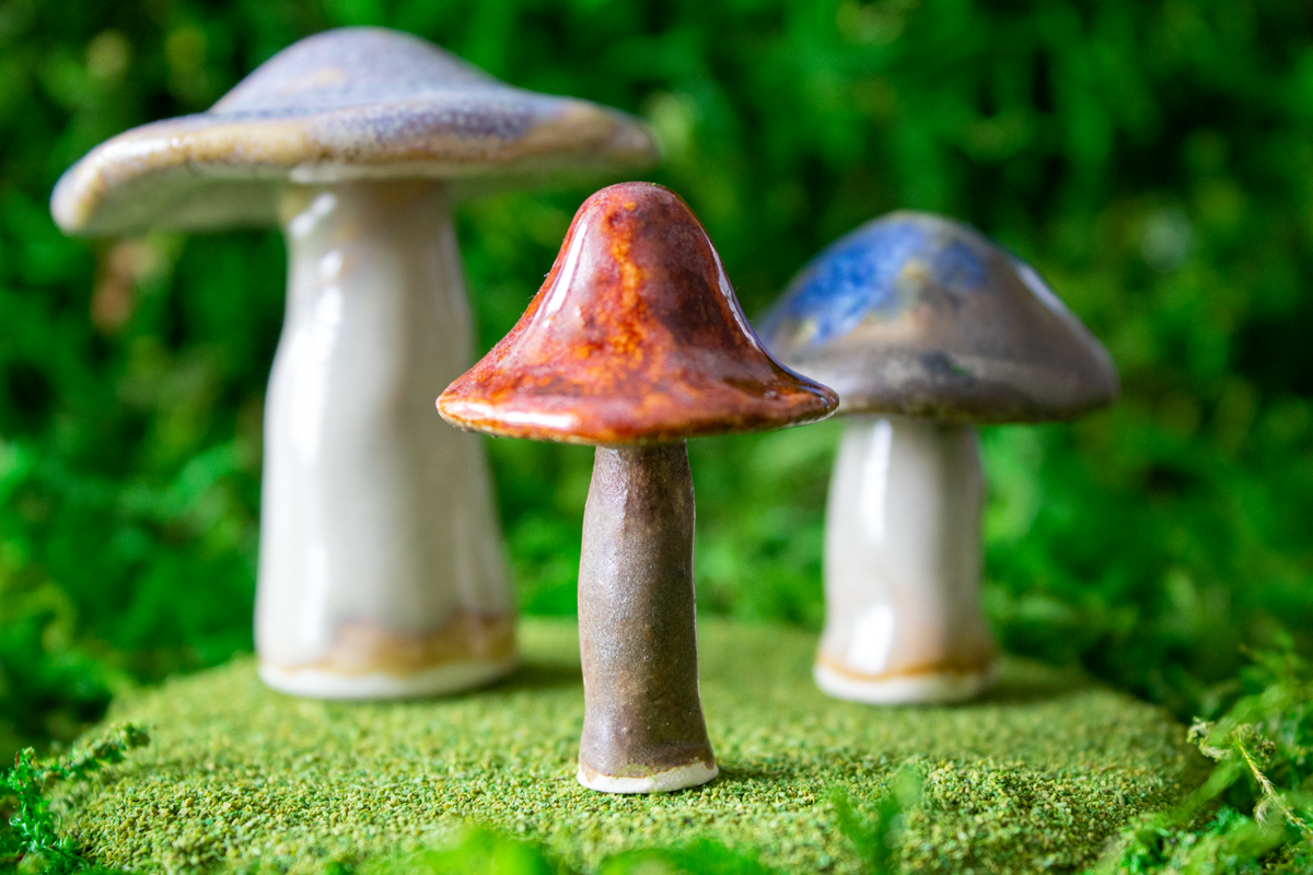 Handmade Stoneware Mushroom Set 4