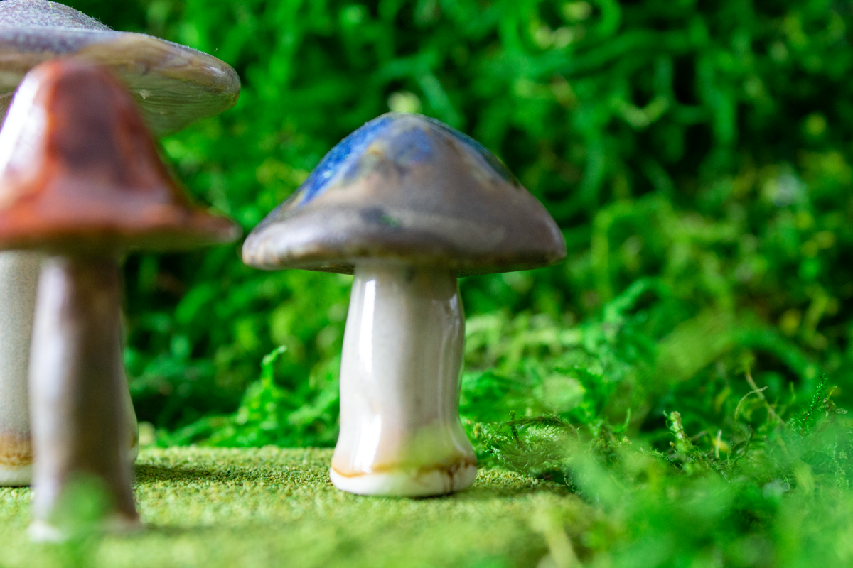 Handmade Stoneware Mushroom Set 4