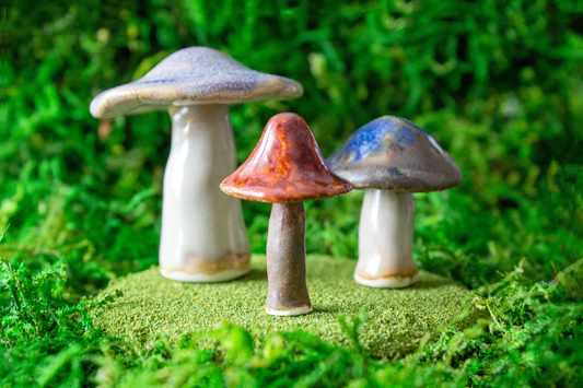 Handmade Stoneware Mushroom Set 4