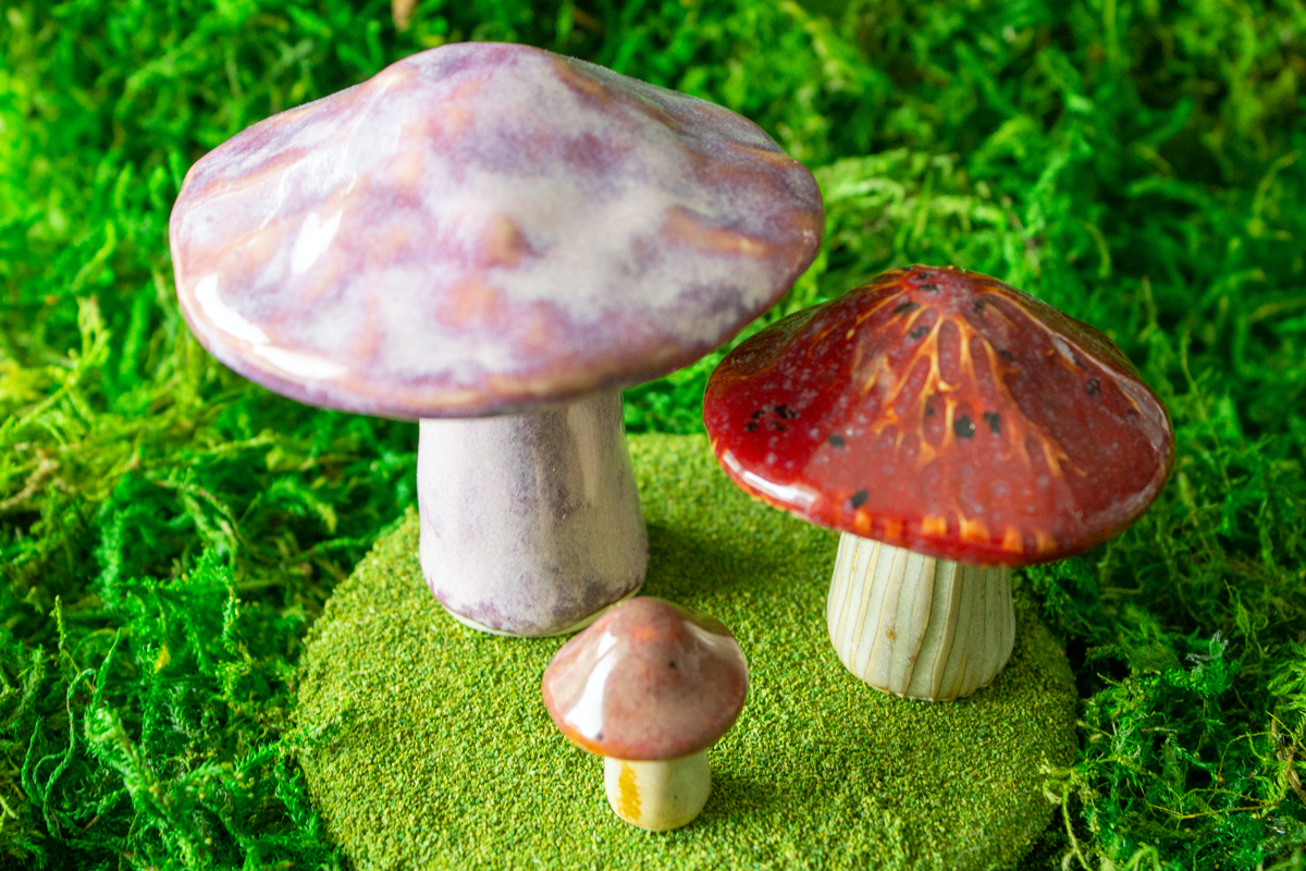 Handmade Stoneware Mushroom Set 5