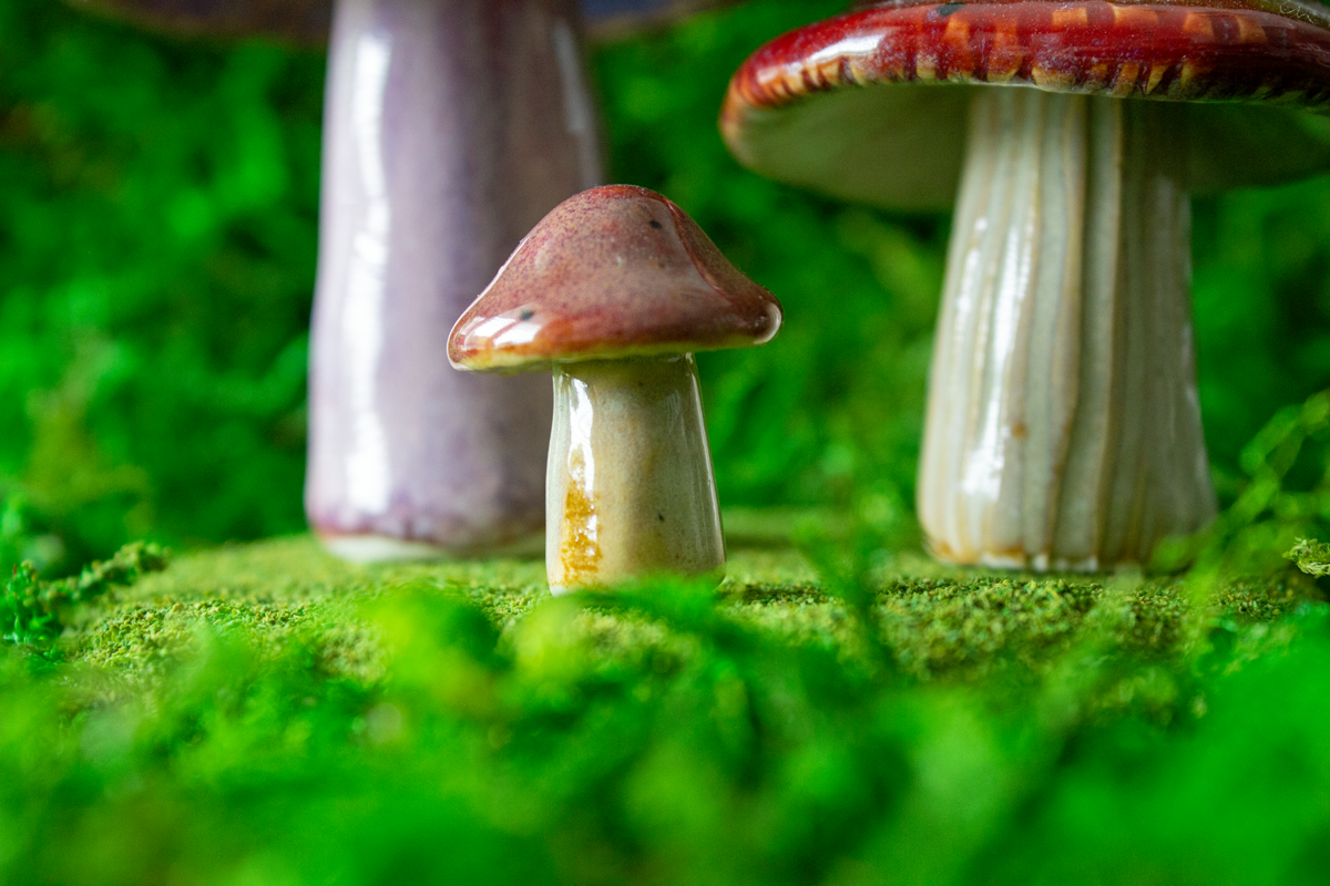 Handmade Stoneware Mushroom Set 5