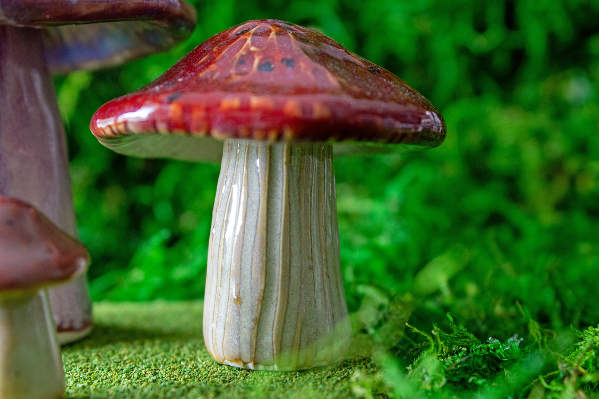 Handmade Stoneware Mushroom Set 5