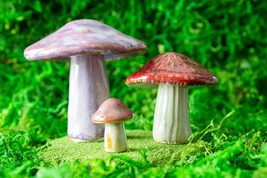 Handmade Stoneware Mushroom Set 5